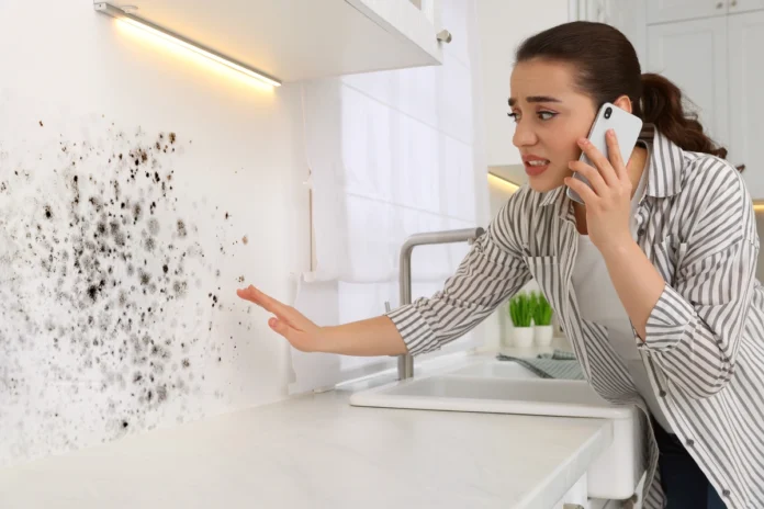 Preventing Mold Growth After Water Damage: Essential Steps for Homeowners