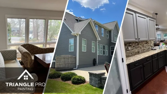 Triangle Pro Painting