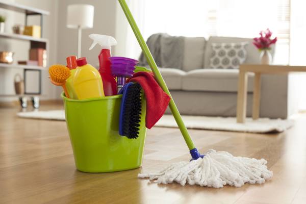 Professional Cleaning Services