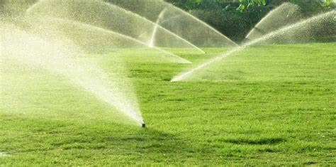 Irrigation and Lighting Excellence